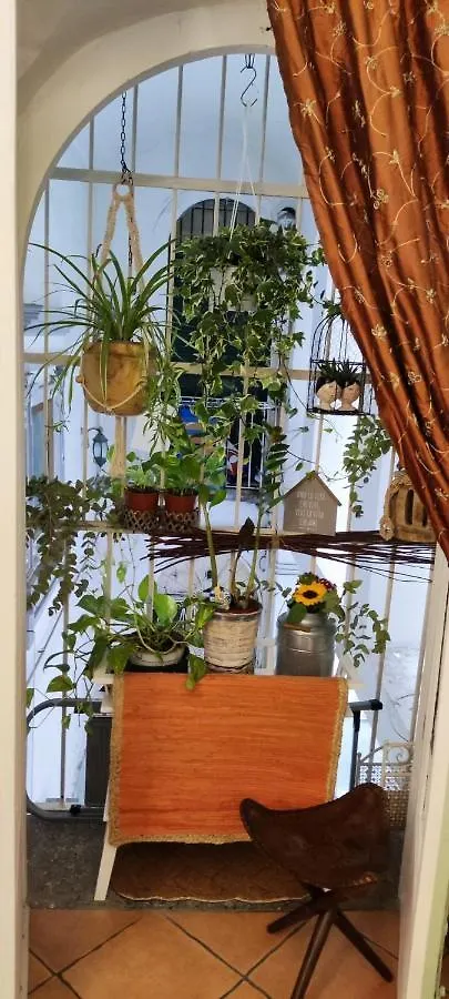 Il Sogno Di Matteo Apartment Naples